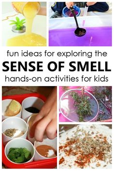 the fun ideas for exploring the sense of smell and hands - on activities for kids