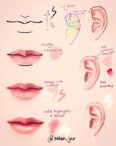 the different types of lips are shown in this drawing