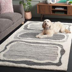 a dog laying on a rug in a living room