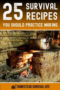 Are you really prepared for the unexpected? Sure, if disaster strikes suddenly, there’s no real way to predict how events will unfold. You might find yourself without access to stores or a grocery market - and that means having backup options at your disposal is critical. To help make sure you're fully prepped and ready, here are 25 recommendations of survival food recipes that could save your life someday. No Grid Survival Projects, Prepping Food Survival, Survival Recipes, Pioneer Recipes, Survival Prepping Diy, Best Survival Food, Survival Skills Emergency Preparedness, Prepper Food