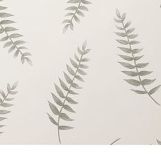 Fern Wallpaper, Sample, White & Green Line Art Wallpaper, Find Wallpaper, Fern Wall, Fern Wallpaper, Painted Wallpaper, Wallpaper White, Painted Walls, Wallpaper Wall, School Days