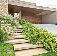 the steps lead up to the front door of this modern house, which is surrounded by grass and plants