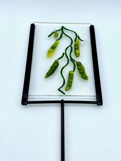 some green peppers are on a black and white square plate with a glass holder in the shape of a rectangle