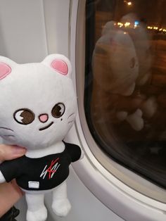 a person is holding a stuffed animal near an airplane window with the cat on it