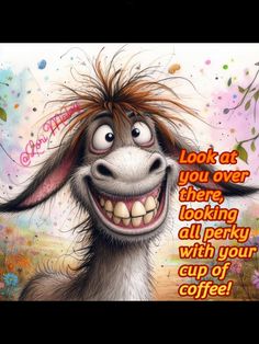 a donkey with long hair and an expression on it's face that reads, look at you over there looking all perky with your cup of coffee