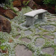 a stone bench sitting in the middle of a lush green field with white flowers on it