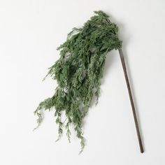 a piece of green moss on top of a wooden stick next to a white wall