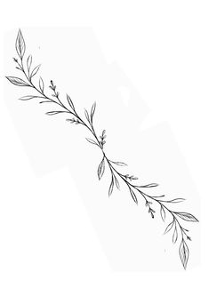 a black and white drawing of a branch