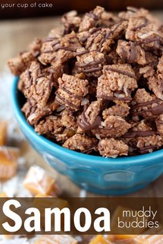 a blue bowl filled with muddy buddies dog treats