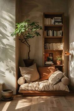 a living room with a couch, bookshelf and potted plant in the corner