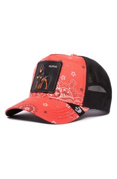 Release that alpha-dog energy with this paisley-print trucker hat built with breathable mesh panels and an adjustable snapback strap for the perfect fit. Adjustable snapback strap 45% polyester, 45% cotton, 10% linen Spot clean Imported Red Adjustable Breathable Baseball Cap, Red Trucker Hat With Curved Visor For Streetwear, Red Breathable Trucker Hat, Red Trucker Hat For Streetwear, Adjustable Red Trucker Hat For Streetwear, Hip Hop Trucker Hat With Curved Visor, Hip Hop Adjustable Trucker Hat With Curved Visor, Adjustable Hip Hop Trucker Hat With Curved Visor, Red Snapback Hat For Streetwear With Curved Visor