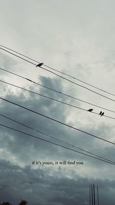 birds are sitting on power lines with the words if it's yours, i will find you