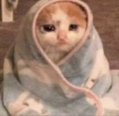 an orange and white cat is wrapped in a blanket on the floor, looking at the camera