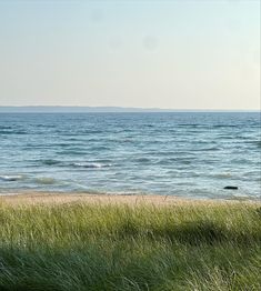 an ocean view from the shore with grass in foreground