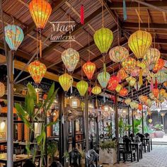 many colorful lanterns hanging from the ceiling in a restaurant with tables, chairs and potted plants