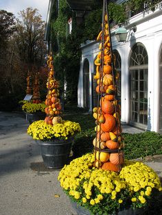 there are many pumpkins and squash on display in the planters outside this house