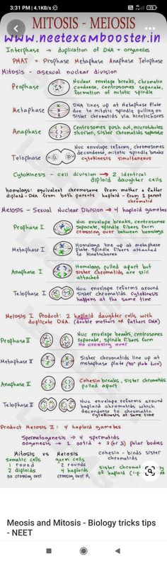 Short notes or kinda flashcards of biology 11 Biology Notes, Icse Class 10 Biology Notes, Class 11 Biology Notes Cell Cycle And Cell Division, Cell Cycle And Cell Division Mind Map, Cell Cycle And Cell Division Notes For Neet, Cell The Unit Of Life Notes For Neet, Biology Neet Tricks, Biomolecules Notes Biology Class 11