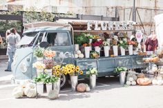 an old blue truck with flowers and plants on the back parked in front of it