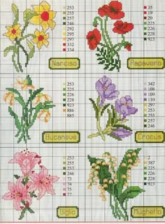 cross stitch chart with flowers on it and numbers for each flower species in the field