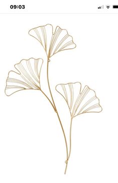 a drawing of two large leaves on a white background with the words,'i love you