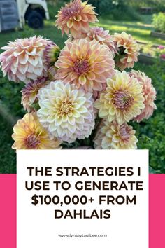 flowers with the words, the strategies i use to generating $ 10, 000 + from dahlias