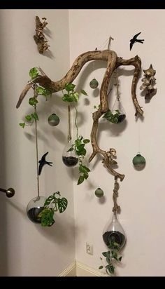 a tree branch with hanging plants and birds on it's branches is shown in the corner of a room