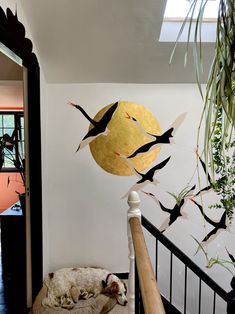 a dog laying on top of a bed next to a wall with birds painted on it