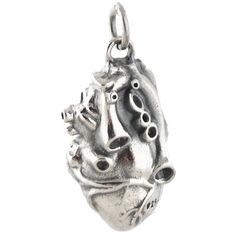 "3-Dimensional Anatomical Heart Charm Pendant Details: - Anatomical heart charm is made of genuine 925 sterling silver - Stamped 925 - 3-Dimensional (3D) - valves are anatomically correct on the front and back - Measures approx 22mm x 14mm (7/8\" x 9/16\") - Includes a 5mm soldered jump ring Shipping Details: - All orders are shipped within 1 to 2 business days from California, US - Shipping time frames may become a bit longer as gift-giving holidays approach. Let us know if something is needed Heart-shaped Sterling Silver Charms, Silver Heart Pendant Charm In Sterling Silver, Silver Heart-shaped Sterling Silver Charms, Silver Sterling Silver Heart Pendant Charms, Silver Heart Shaped Sterling Silver Charms, Silver Sterling Silver Heart Charms, Heart-shaped White Gold Sterling Silver Charms, White Gold Heart Charms In Sterling Silver, White Gold Sterling Silver Heart Charms