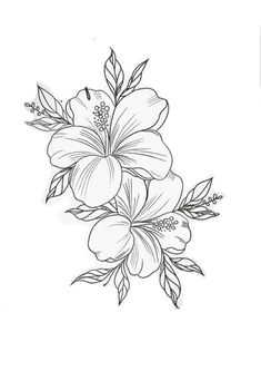 a drawing of flowers on a white background