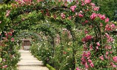 an arch covered in pink flowers next to a path through a garden filled with lots of trees