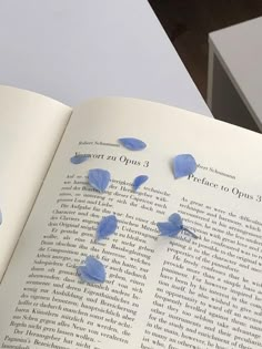 an open book with blue flowers on it