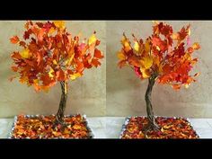 two small trees with orange leaves on them