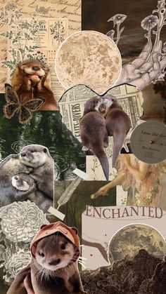 an animal collage featuring otters, birds and other things in it's natural habitat