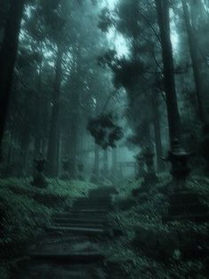 a dark forest filled with lots of tall trees and steps leading up to the top