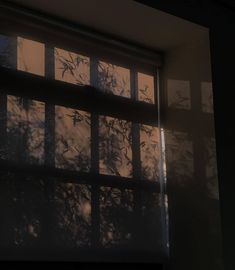 shadows cast on the wall and window panes