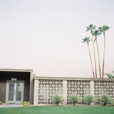 a man riding a skateboard on top of a lush green field next to a tall palm tree