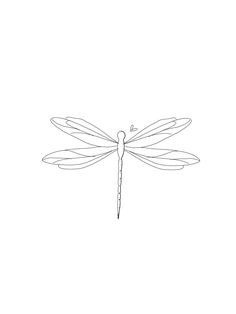 a line drawing of a dragonfly on a white background