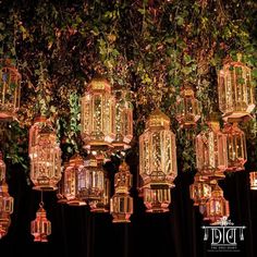 many lit up lanterns hanging from the ceiling in front of a black backdrop with ivy growing on it