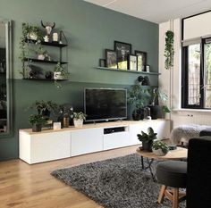 a living room filled with furniture and lots of plants on top of the shelves in front of the tv