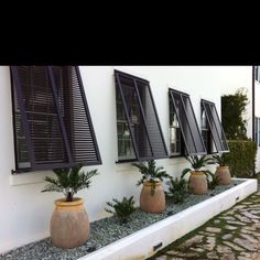 three planters are lined up against the side of a building with black shutters