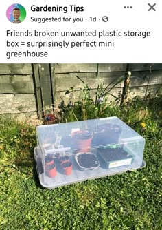 a plastic container filled with plants in the grass