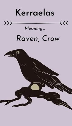 a black bird sitting on top of a branch with the words kerbaelas meaning raven, crow