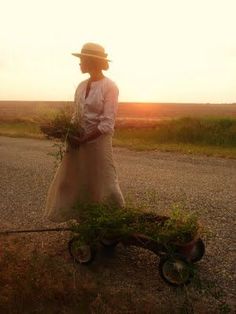 a woman in a dress and hat pulling a wheelbarrow with plants on it