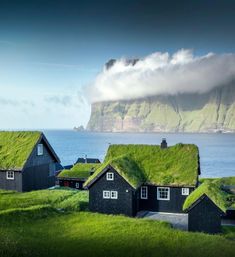 some black houses with green roof and grass on the roofs are in front of an island