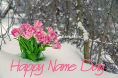 pink tulips sitting in the snow with happy name day written on it's side