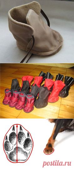 an image of a dog's paw and shoes on the floor with instructions for how to clean them