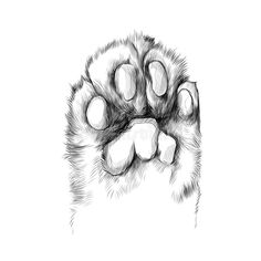 an animal's paw is shown in this black and white drawing, it looks like the