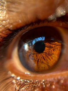 an extreme close up view of the iris of a person's eye