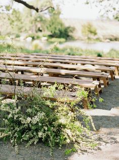 rows of wooden benches sitting next to each other on a dirt ground near a tree