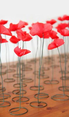 many red flowers are placed in the shape of circles on a wooden table with wire